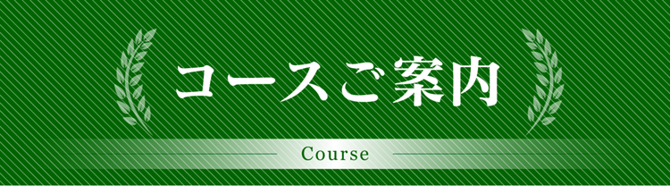 �R�[�X���ē�